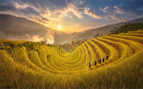 Northern Mountain Beauty of Vietnam Tour 7 Days